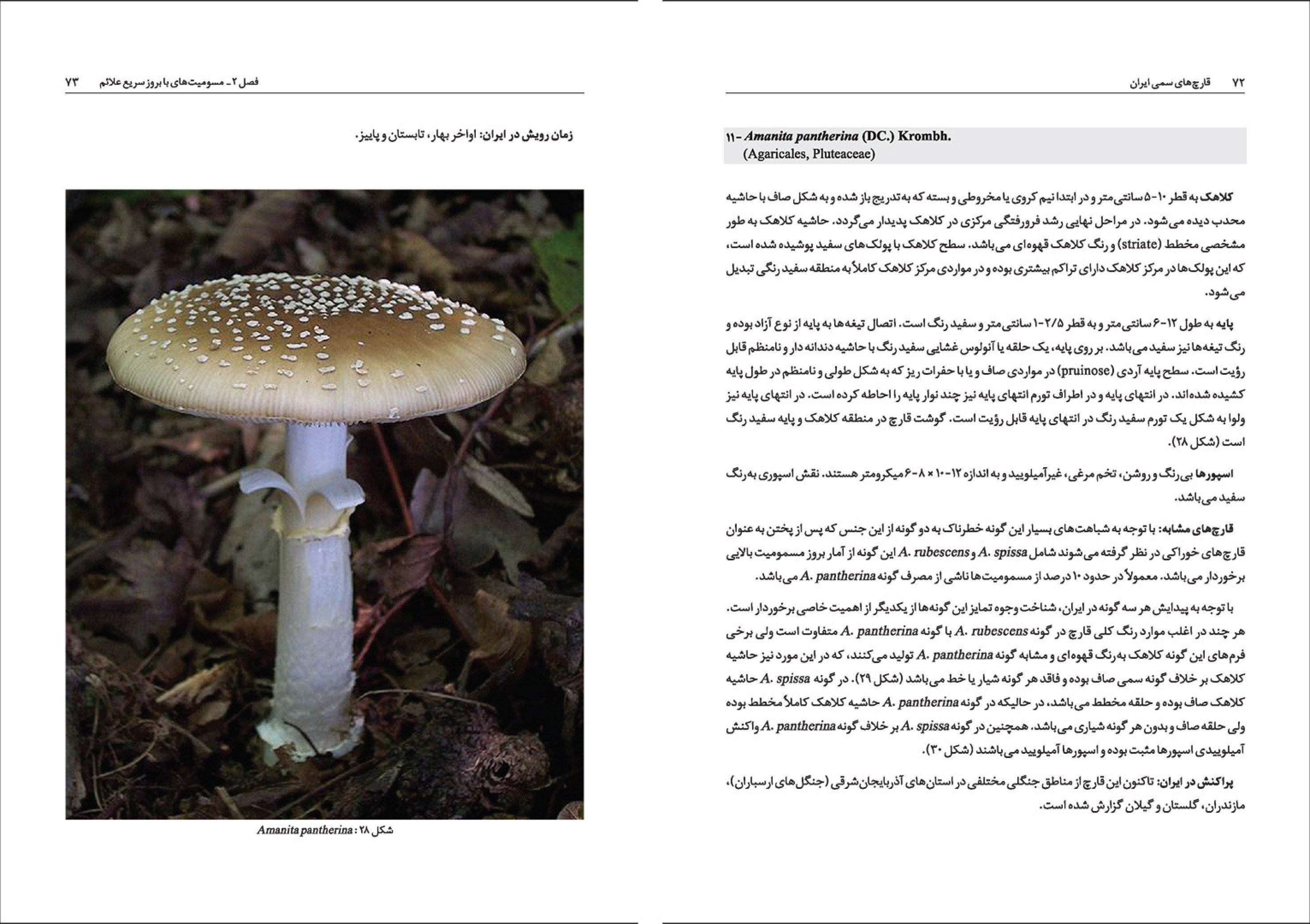  کتاب قارچهای سمی ایران 
